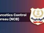 NCB Srinagar Busts Major Hashish/Charas Smuggling Network; Three Arrested