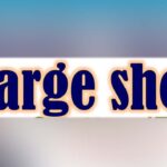 ACB presented chargesheet against the then Executive Officer Executive Officer, Khilafwarzi Inspector MC Kupwara & Ghulam Mohammad Mir Attorney