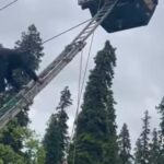 Rescue teams evacuate stranded tourists after the Gulmarg Gondola cable car service developed a major technical fault in Gulmarg, Baramulla.