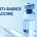 Hundreds get anti-rabies shots after contaminated meat sold in Pulwama