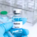 Rabies 100% fatal once symptoms appear but completely preventable: Experts