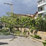 Man Dies, Wife Injured as Tree Topples During Windstorm in Anantnag