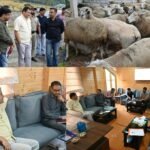 Javid Dar reviews sheep breeding initiatives at Khimber Farm
